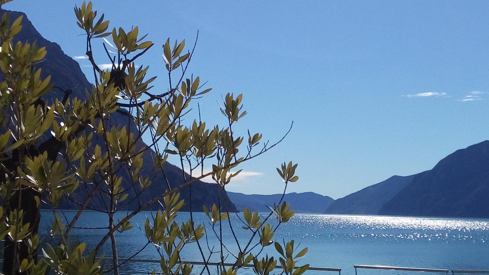 Ca Del Lac Castro  Extérieur photo